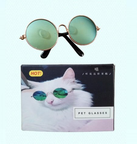 نظارة للقطط