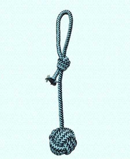 لعبة حبل قطط وكلاب