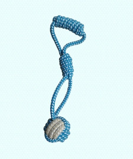 لعبه حبل قطط وكلاب 