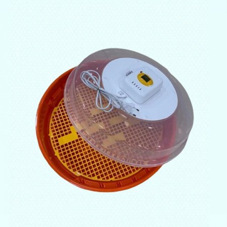 فقاسة رومانية 1 <br> <span class='text-color-warm'>سيتوفر قريباً</span>