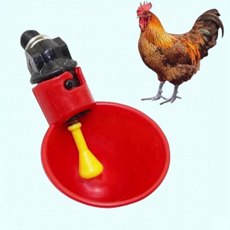 مشرب فنجان احمر مسنن مستورد