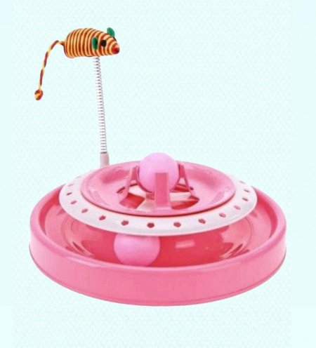 العاب قطط فراشة طبقة