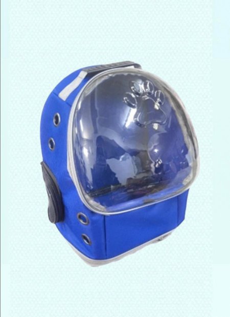 شنط قطط ظهر كف