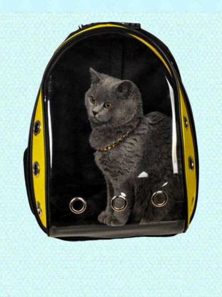 شنط قطط ظهر 4