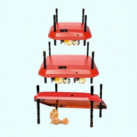 دفاية صيصان كهرباء 