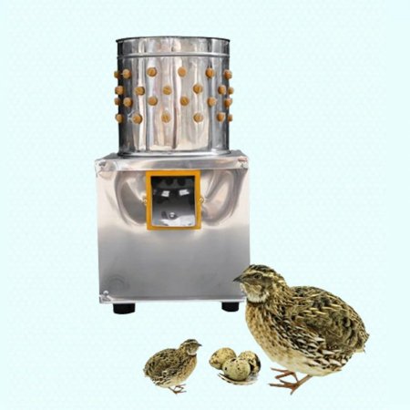 معاطة الفري