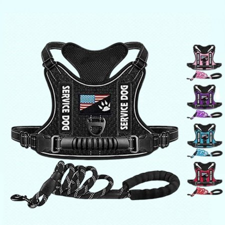 سدرية كلاب مع حبل بوليس