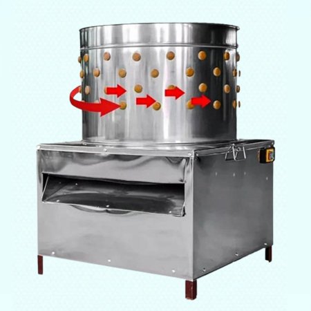 معاطة الدجاج