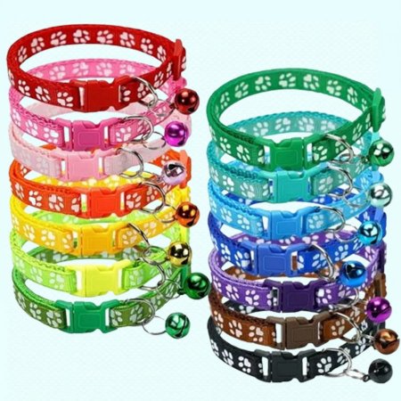 طوق قطط صغير