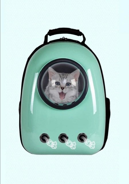 شنطة قطط ظهر2
