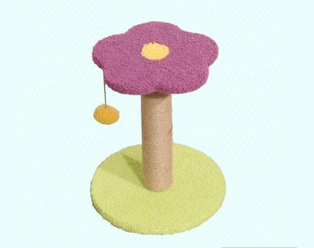 ستاند قطط فواكه