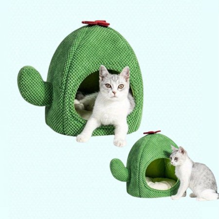 بيت قطط صباره 