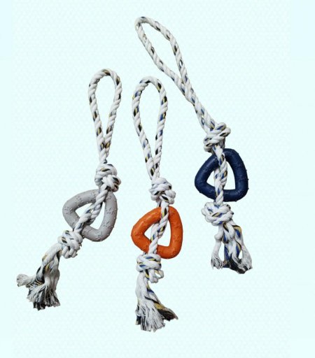 لعبة كلاب تمرين