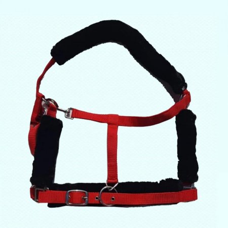 رشمة خيل  هندي 2