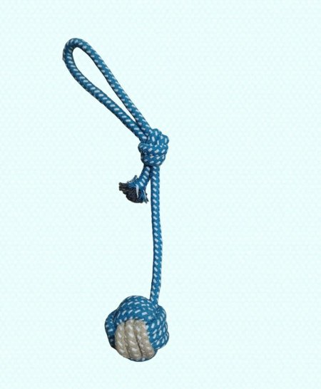 لعبة حبل قطط وكلاب 