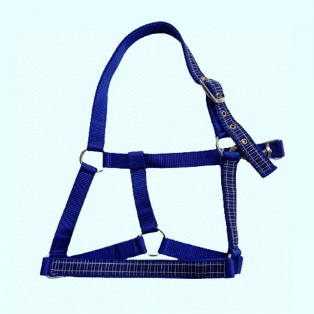 رشمة خيل هندي2