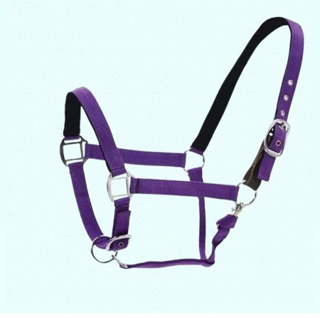 رشمة  خيل هندي 4