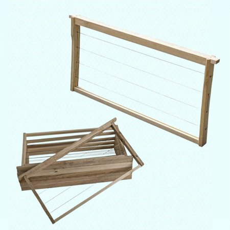 برواز نحل  مسلك 