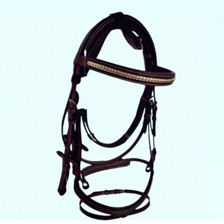 لجام جلد هندي 1
