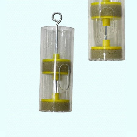 علبة تعليم ملكات