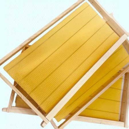 برواز نحل شمع صيني 