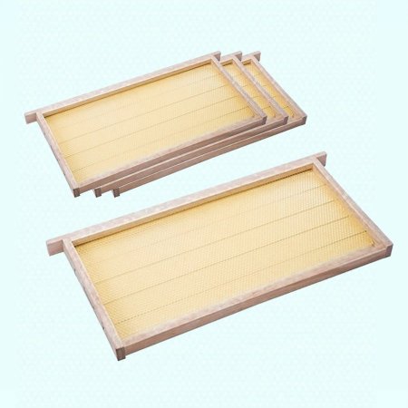 برواز نحل شمع اسرائيلي 