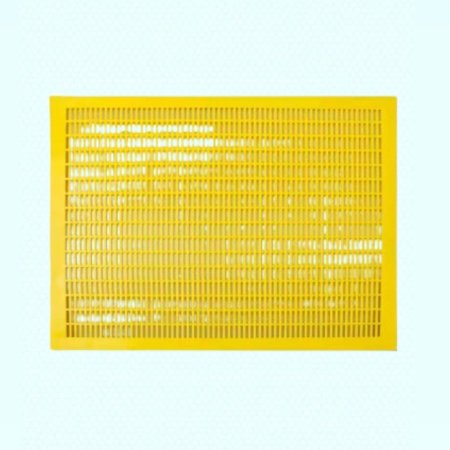 حاجز ملكات بلاستيك