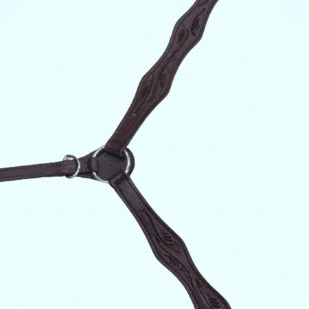 سدرية خيل جلد