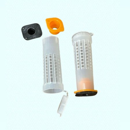 عيون ملكات اصبع مع شبك