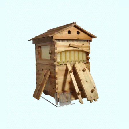 صندوق عسل امريكي