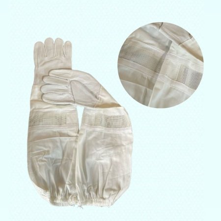 كفوف نحل ابيض مخرم