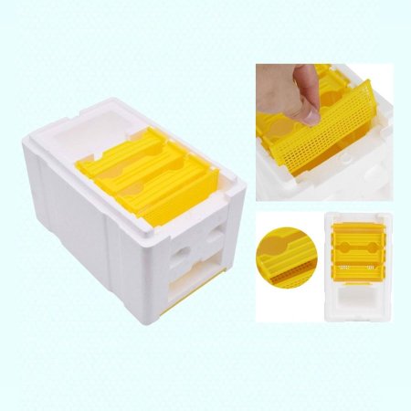 صندوق تربية ملكات فلين