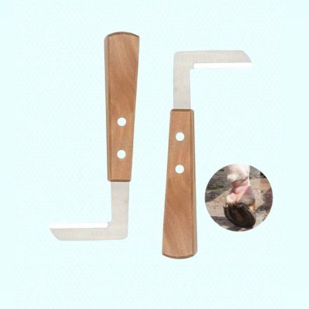 سكينة حذو الخيل