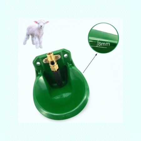 مشرب خيل / غنم  اخضر