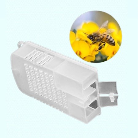 علبة  حجر ملكات 