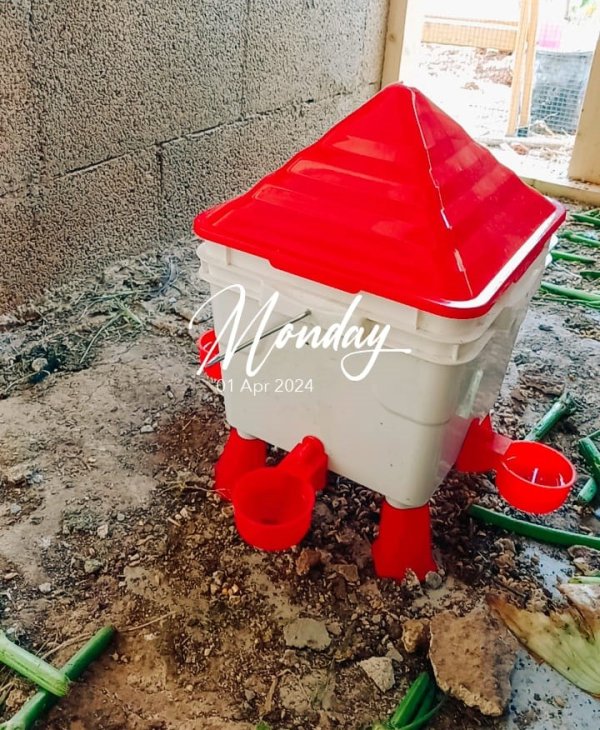 زهراء من بيت لحم 