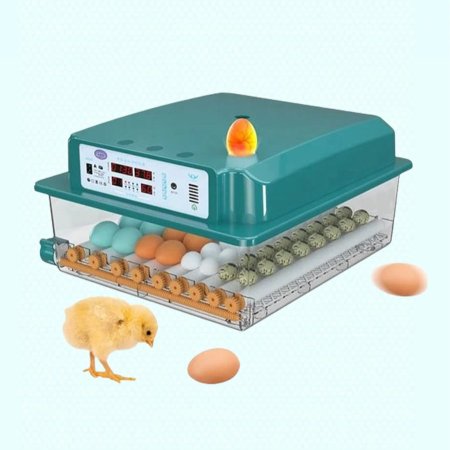 فقاسة 64 بيضة ازرق