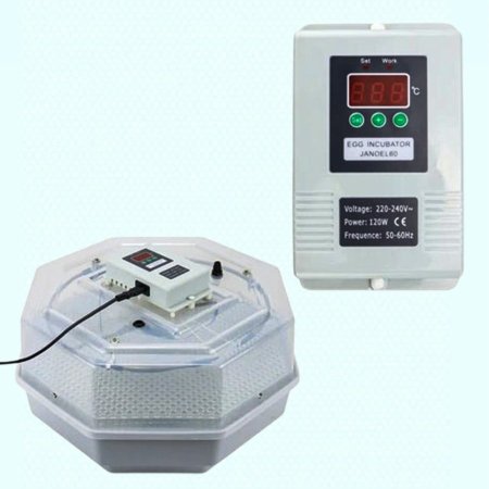 فقاسة سداسية مع شاشة - 60 بيضة