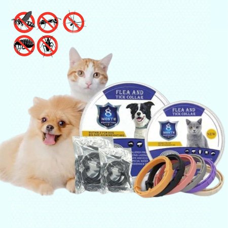 طوق براغيث كلاب وقطط