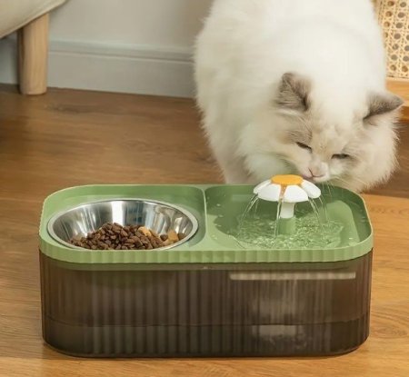نافورة الماء للقطط مع صحن