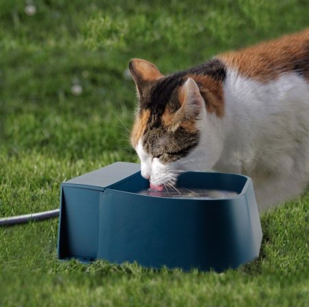 مشرب كلاب وقطط اتوماتيك