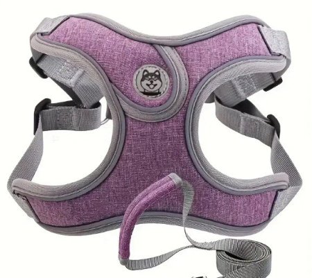 سدرية كلاب ب 4 أحجام