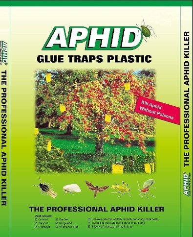 لاصق ذباب بكيت