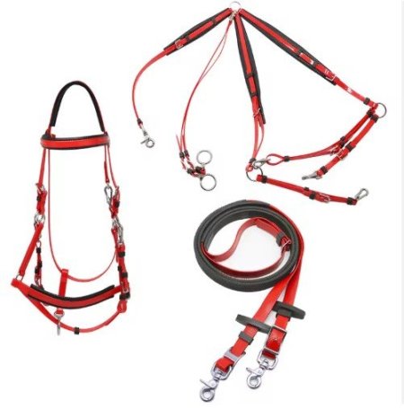 لجام زلكو مع سدرية خيل