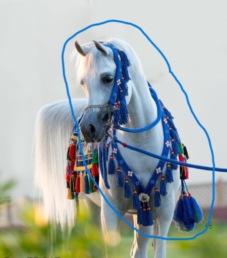 زينة خيل سوري  (4 او 5 قطع )