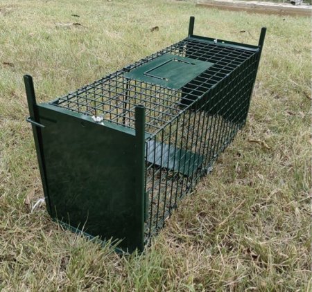 قفص صيد  اخضر <br> <span class='text-color-warm'>سيتوفر قريباً</span>