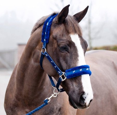 رشمة خيل هندي