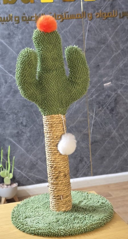 ستاند صبارة