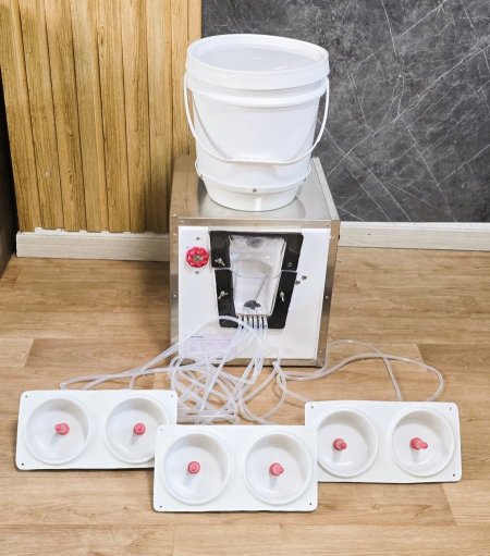 رضاعة حليب للخراف