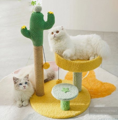 ستاند قطط صبارة مع مقعد